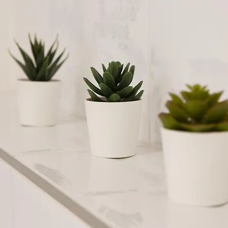 Апартаменты Whitehouse Острава